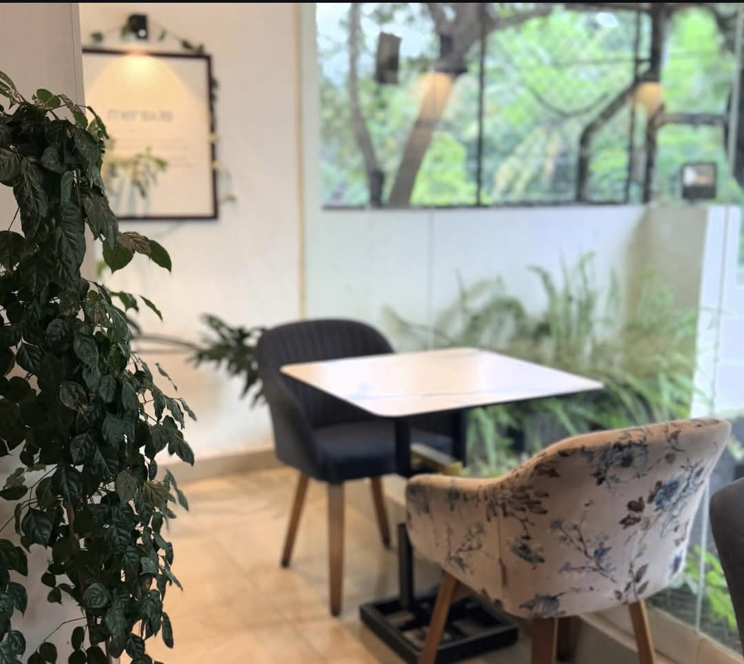 Cozy green plants seating corner